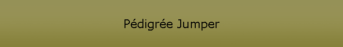 Pdigre Jumper