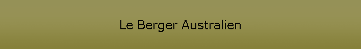 Le Berger Australien